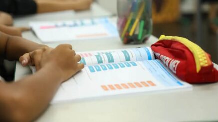 Inep disponibiliza consulta aos dados declarados na primeira etapa do Censo Escolar da Educação Básica de 2026