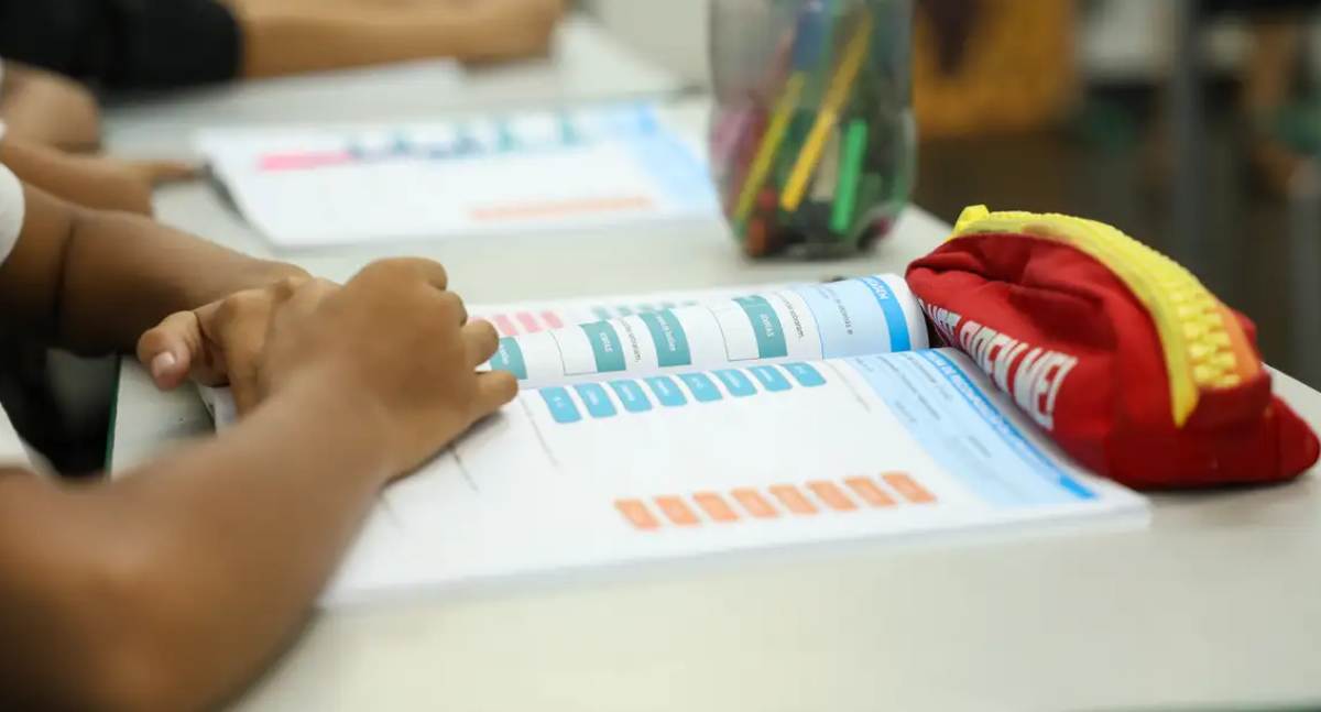Inep disponibiliza consulta aos dados declarados na primeira etapa do Censo Escolar da Educação Básica de 2026