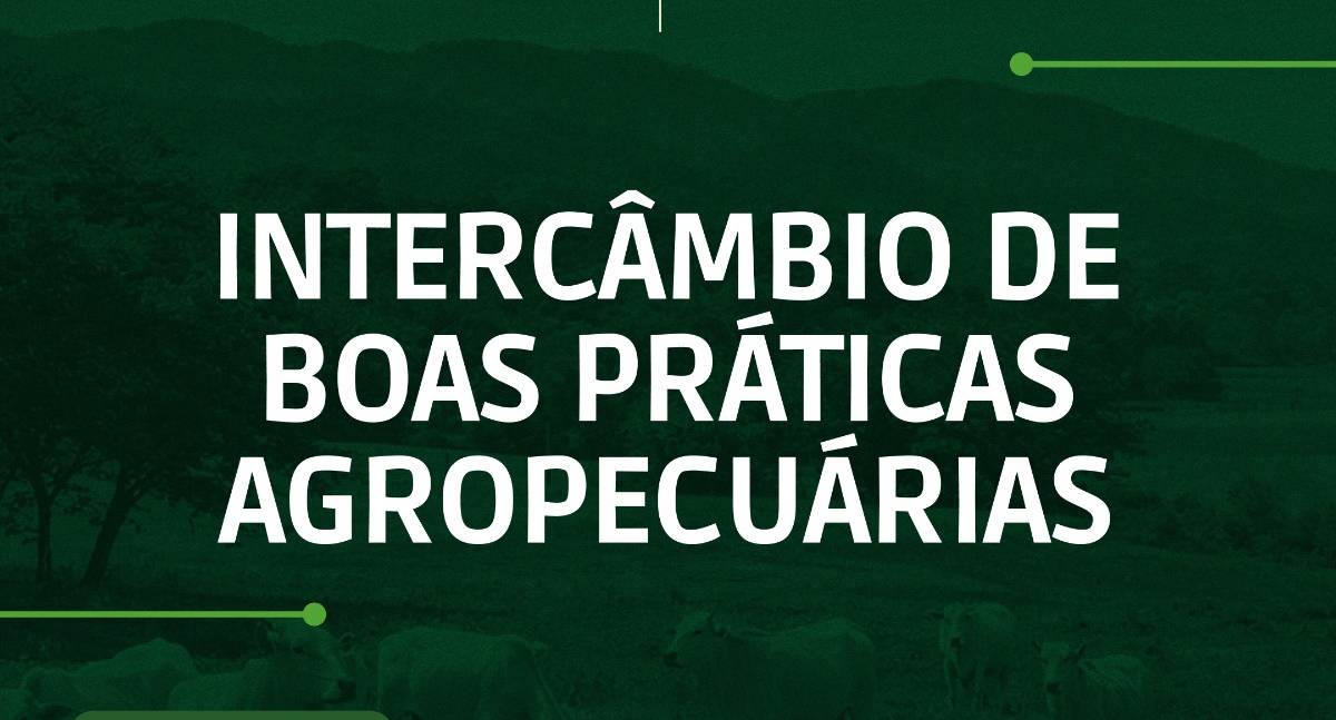 Intercâmbio reúne produtores e profissionais para troca de experiências sobre produção leiteira em Candeias do Jamari