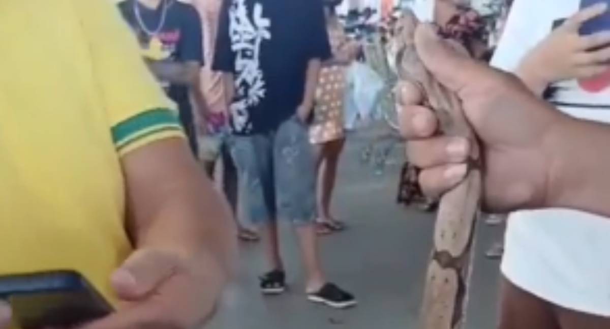 Jiboia é encontrada enrolada em roda de carro em estacionamento de supermercado em RO