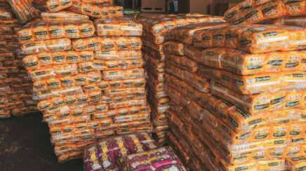 Log Fraldas entrega fraldas em casa para pacientes de Porto Velho
