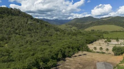 Mata Atlântica perde quase 10 milhões de hectares em 41 anos, aponta MapBiomas