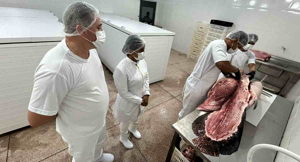 Médicos veterinários reforçam segurança dos alimentos em Porto Velho