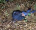 Motociclista morre após colisão traseira entre Honda Biz e caminhonete na BR-429
