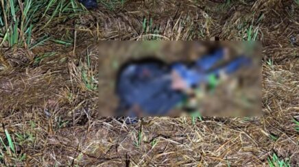 Motociclista morre após colisão traseira entre Honda Biz e caminhonete na BR-429