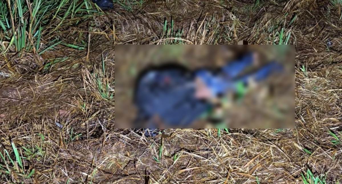 Motociclista morre após colisão traseira entre Honda Biz e caminhonete na BR-429