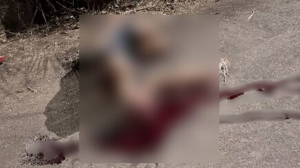 Mulher é encontrada gravemente ferida após acidente em RO