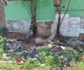 Mulher é encontrada morta nua e com sinais de violência em terreno baldio na capital