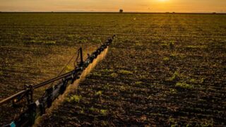 Novas regras de seguro rural entram em vigor para ampliar proteção a produtores no país
