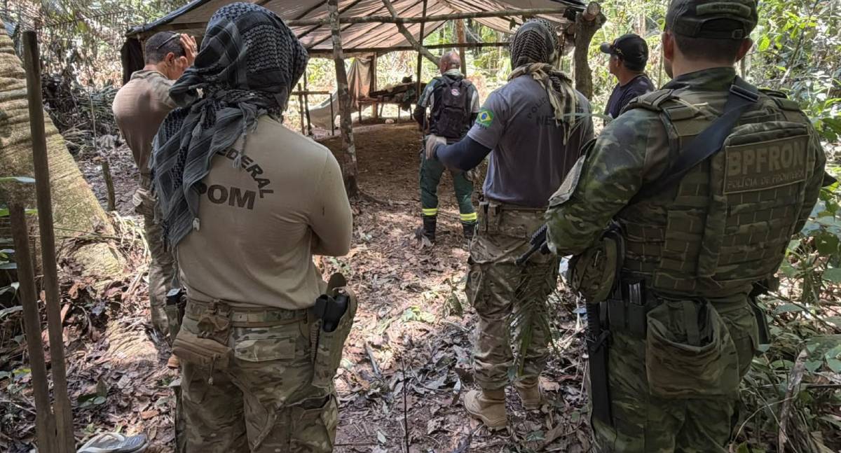 Operação policial combate extração ilegal de madeira em terra indígena em Rondônia
