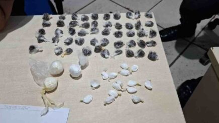 “Pequeno” é flagrado com cerca de 80 porções de drogas no Urso Panda