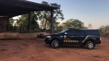 PF deflagra operação contra extração ilegal de madeira em terras indígenas de Rondônia
