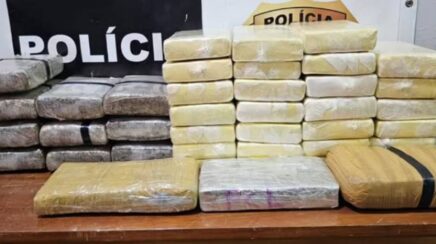 Polícia Civil apreende quarenta quilos de drogas avaliados em um milhão de reais em Guajará-Mirim