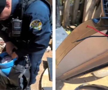 Polícia Militar desmantela ponto de tráfico e prende quatro pessoas em RO