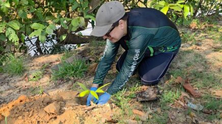 Prefeitura de Jaru realiza ação de limpeza e plantio de árvores às margens do Rio Jaru