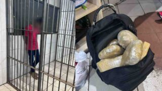 PRF apreende 17,6 kg de drogas após perseguição na BR-364
