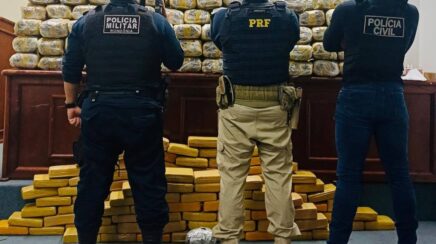 PRF apreende mais de 330 kg de maconha em ação conjunta com forças de segurança em Rondônia