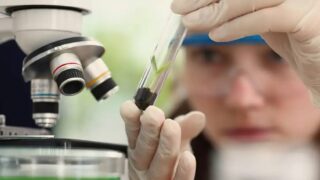Programa Futuras Cientistas abre inscrições para imersão em laboratórios de tecnologia