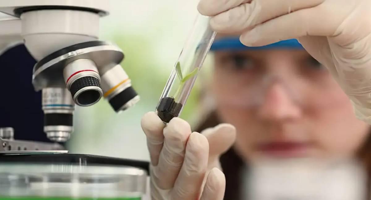 Programa Futuras Cientistas abre inscrições para imersão em laboratórios de tecnologia