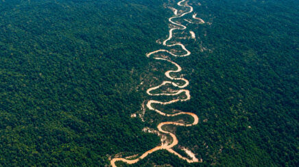 Níveis dos rios da Amazônia seguem dentro do esperado para esta época do ano