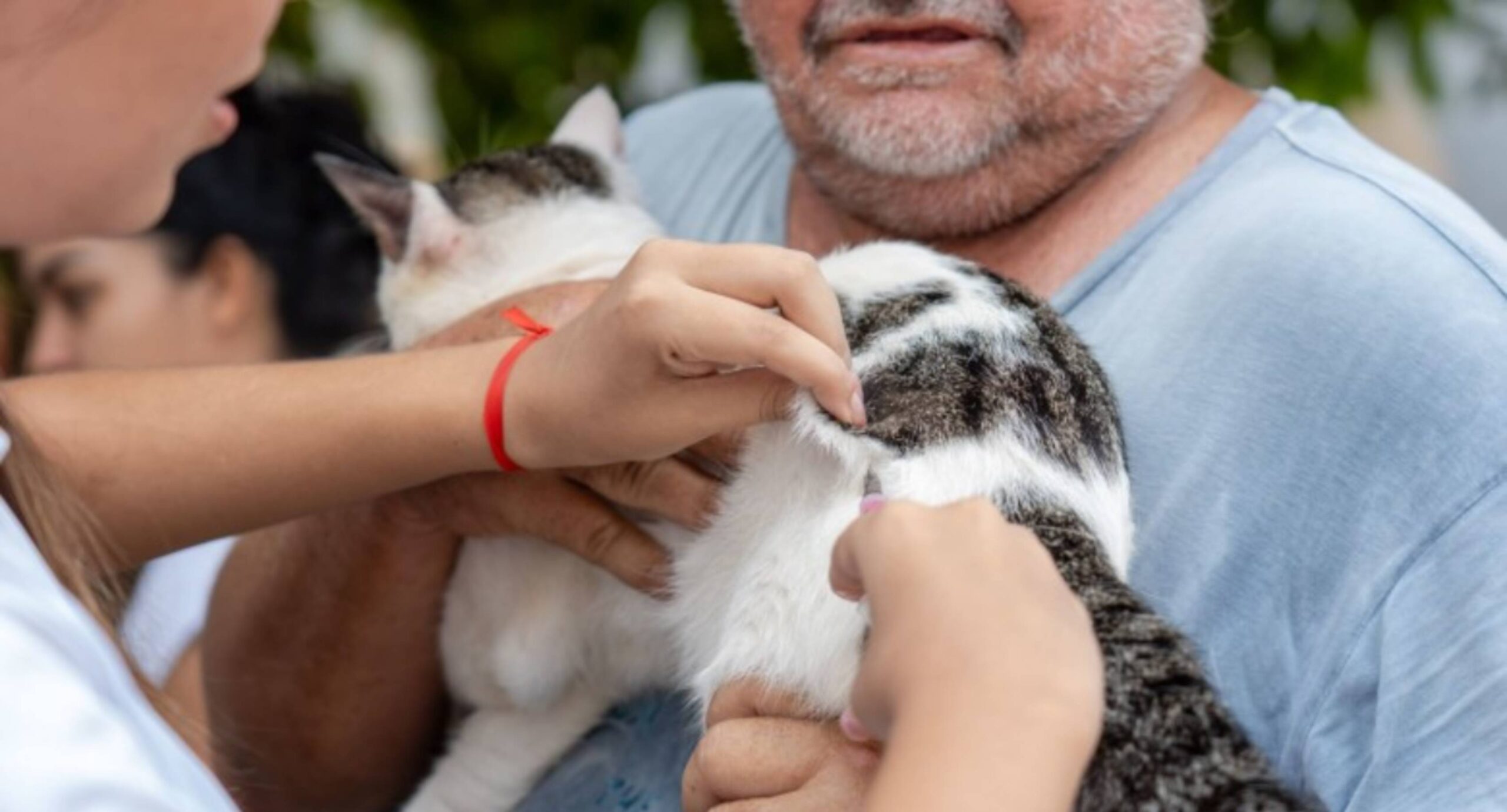 Setembro Caramelo vacina mais de 30 mil animais em Porto Velho