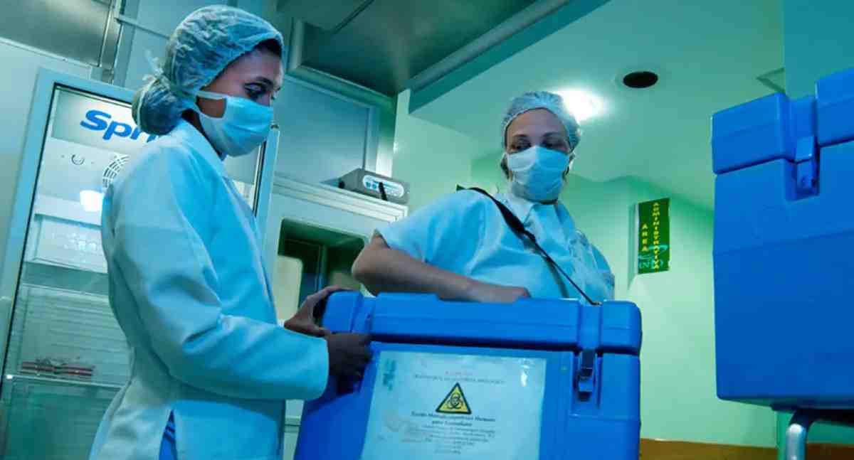 Setembro Verde: idosos podem ser doadores vivos de órgãos