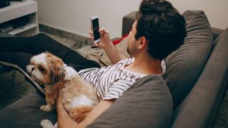 Tutores levam dúvidas sobre cães e gatos à inteligência artificial