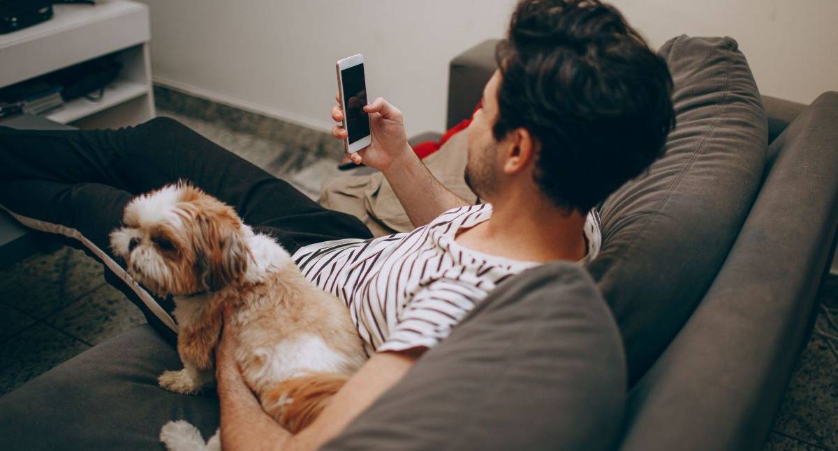 Tutores levam dúvidas sobre cães e gatos à inteligência artificial