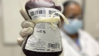 Ministério da Saúde aprova protocolo para uso do medicamento emicizumabe em crianças com hemofilia A no SUS