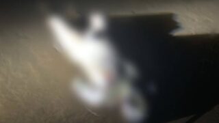 Corpo de homem é encontrado no Rio Machado, em Rondônia