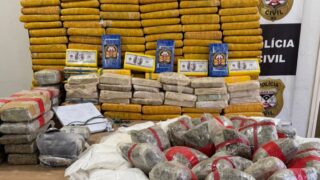Ação conjunta entre Polícia Civil de Nova Mamoré e Denarc resulta na apreensão de 244 quilos de drogas na fronteira