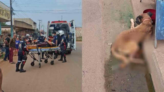 Acidente com cachorro deixa mulher gravemente ferida na zona Leste