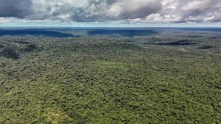 Amazônia atinge menor nível de desmatamento em 41 anos ao registrar 693 mil hectares em 2025, aponta MapBiomas