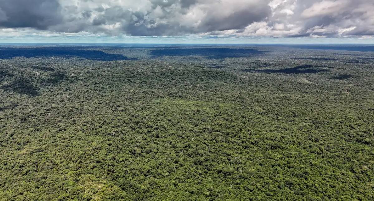 Amazônia atinge menor nível de desmatamento em 41 anos ao registrar 693 mil hectares em 2025, aponta MapBiomas