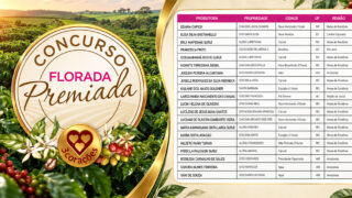 Com 13 produtoras entre as finalistas da categoria canéforas, Rondônia destaca a força feminina na cafeicultura; premiação será em novembro, em Belo Horizonte.