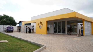 Clínica de Bem-Estar Animal atende mais de 21 mil vezes em Porto Velho