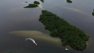 COP17 da Biodiversidade encerra em Yerevan com balanço negativo e entrave em recursos globais
