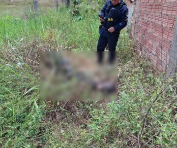 Corpo carbonizado e com mãos amarradas é achado em matagal na zona Leste