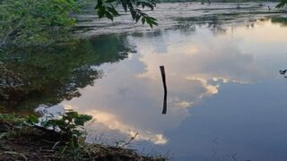 Criança de 2 anos morre após cair em represa em propriedade rural de RO