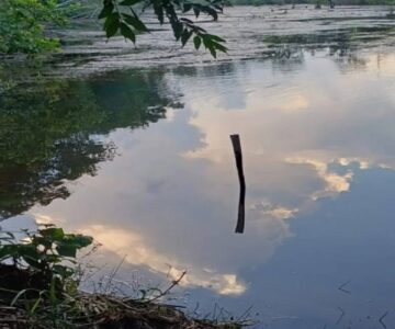 Criança de 2 anos morre após cair em represa em propriedade rural de RO