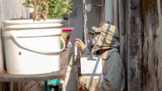 Dengue cai em Porto Velho, mas risco do mosquito exige atenção