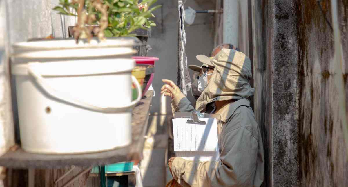 Dengue cai em Porto Velho, mas risco do mosquito exige atenção