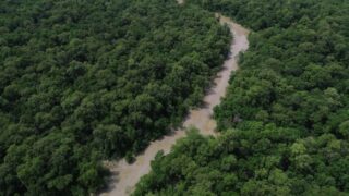 Desmatamento recua 41,8% na Amazônia e 23,8% no Cerrado e atinge menores marcas históricas