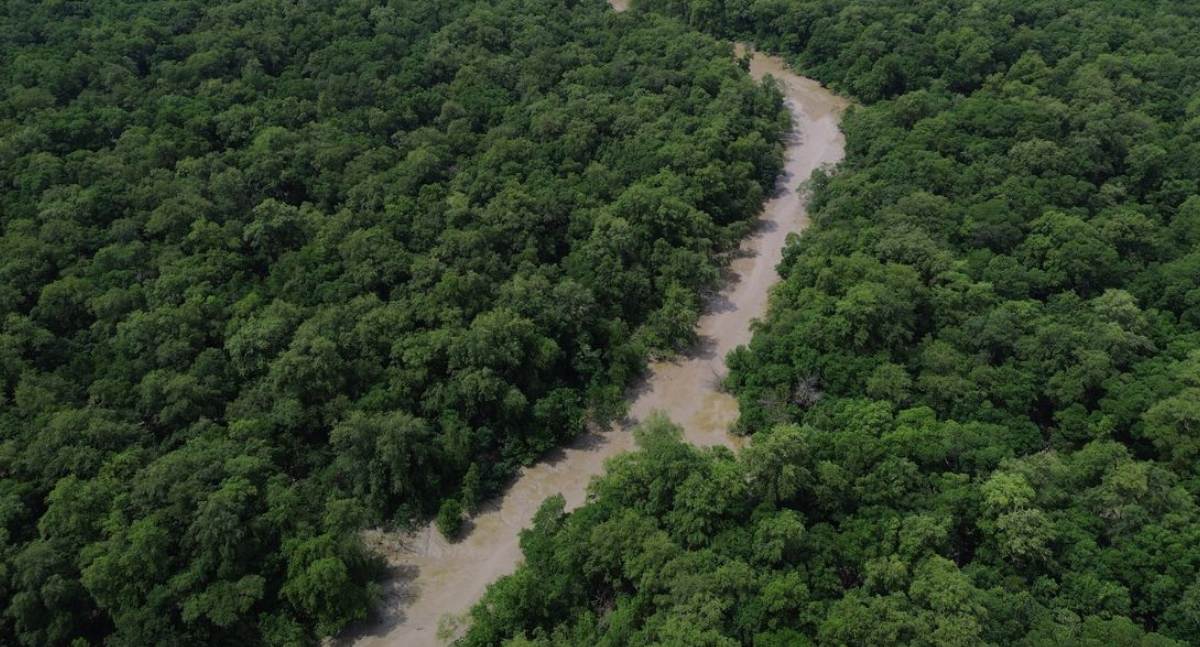 Desmatamento recua 41,8% na Amazônia e 23,8% no Cerrado e atinge menores marcas históricas