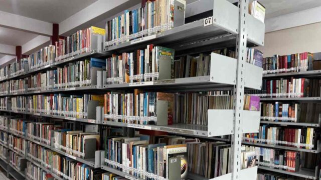 Dia Nacional do Livro destaca autores e literatura regional
