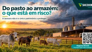 Do pasto ao armazém: como o clima extremo pode prejudicar a produção rural