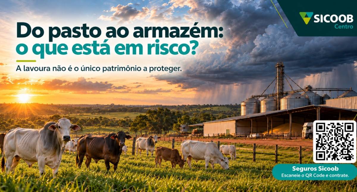 Do pasto ao armazém: como o clima extremo pode prejudicar a produção rural