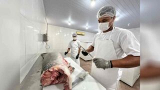 Do SIM ao SISBI: agroindústria de Porto Velho amplia mercado