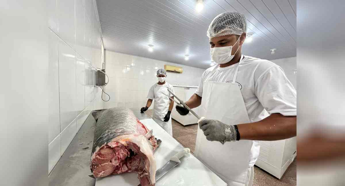 Do SIM ao SISBI: agroindústria de Porto Velho amplia mercado