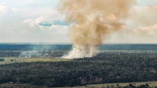 Emissões brasileiras de gases de efeito estufa caem para o menor nível desde 2012, aponta Observatório do Clima